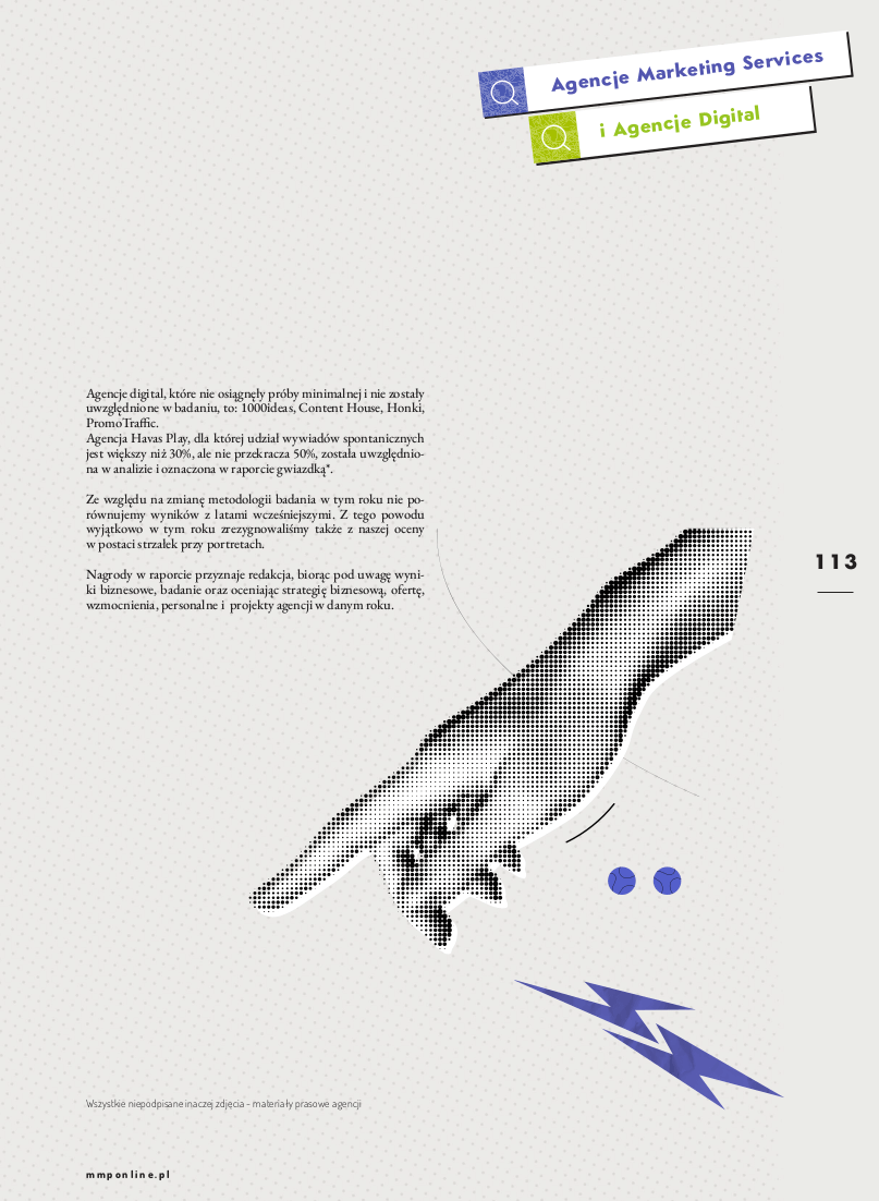 Raport-Agencje-Marketing-Services-i-Digital-2025